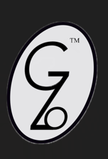Gizo bureau logo
